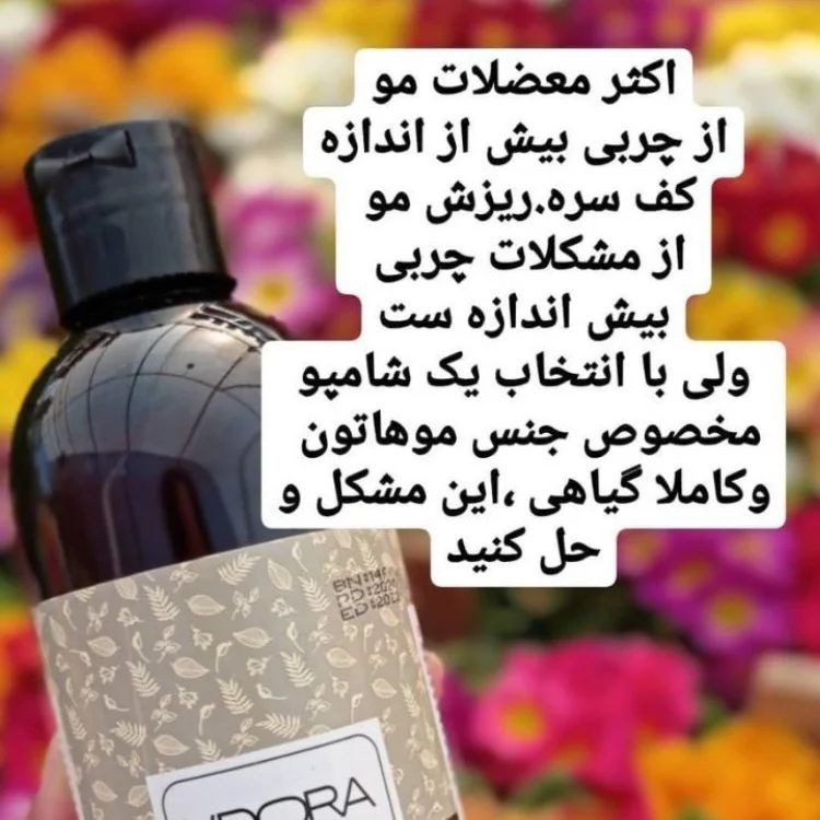 شامپو گیاهی مناسب موهای چرب لدورا هربال 300 میلیلیتر